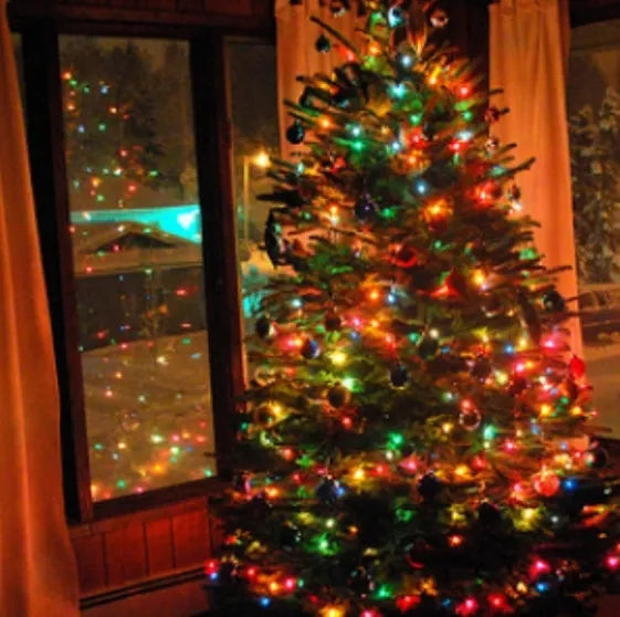 Pisca Pisca Fio Transparente Para Decoração Árvore de Natal 100 Luzes LED 10